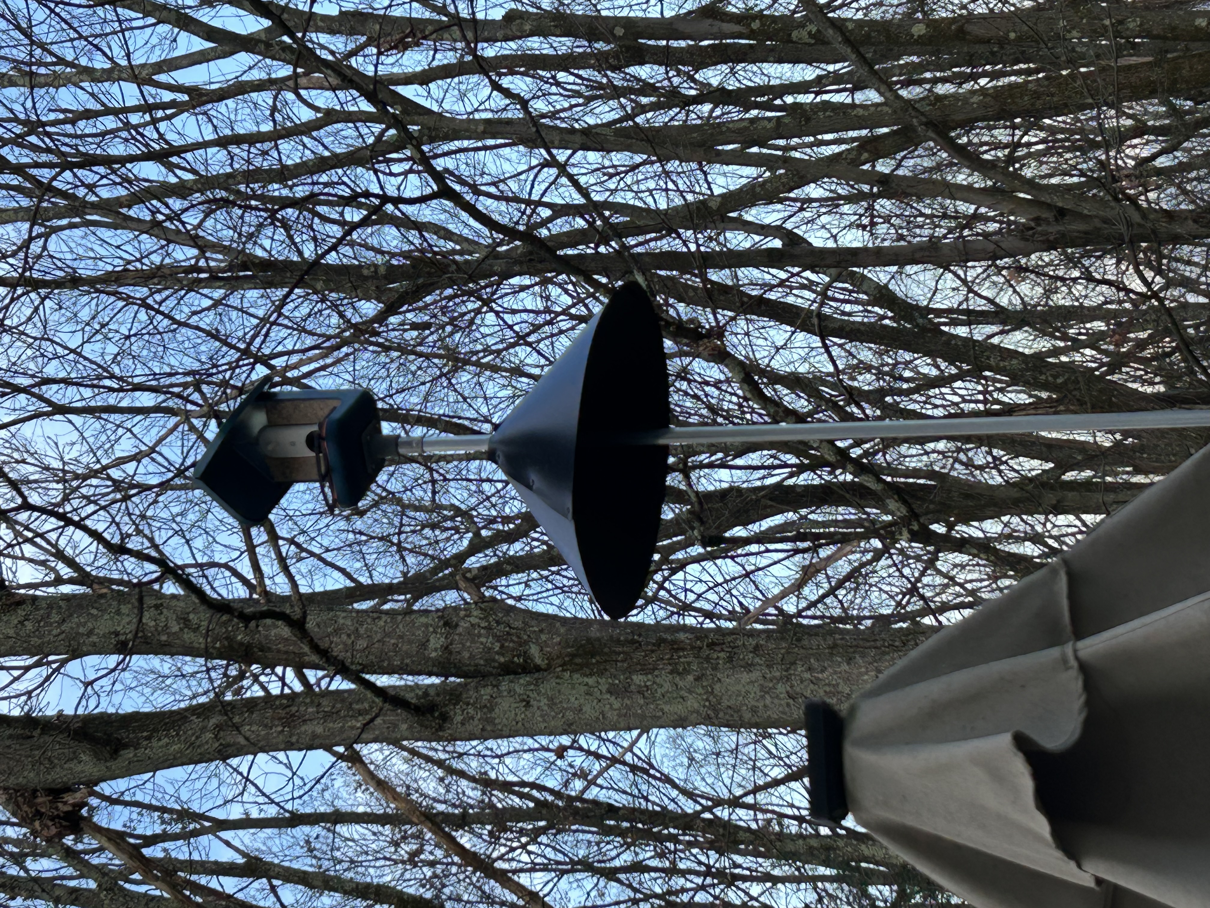 Bird Buddy mounting system and perch